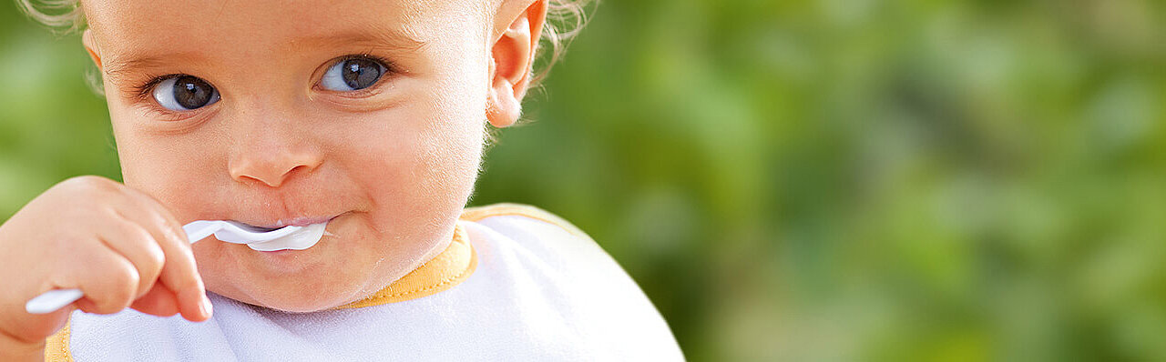 Menús bio para bebés y niños | HiPP Biológico