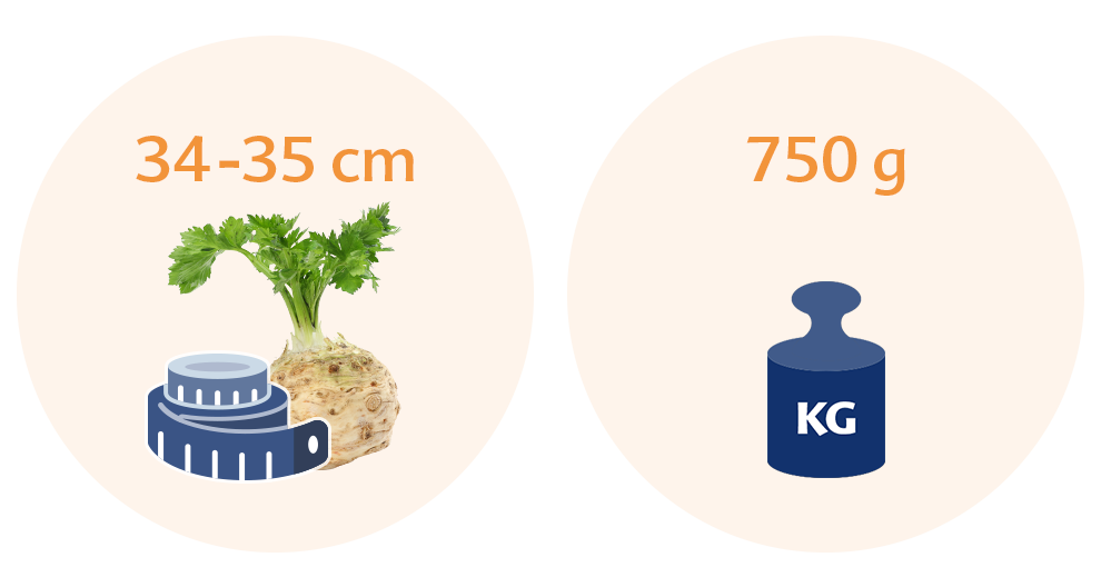 Two circles with a plant and a weight scale in the left circle, and a weight scale with a kilogram symbol in the right circle.