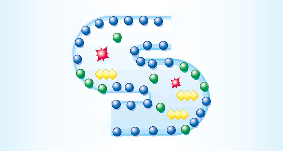 La leche materna y la flora intestinal
