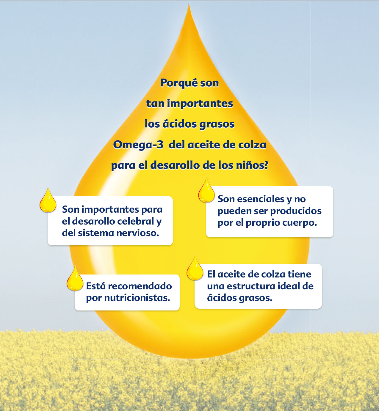 Una gran gotita amarilla con texto en español, y cuatro gotitas más pequeñas con texto que explica la importancia de los ácidos grasos omega-3 para el desarrollo del cerebro y el sistema nervioso.